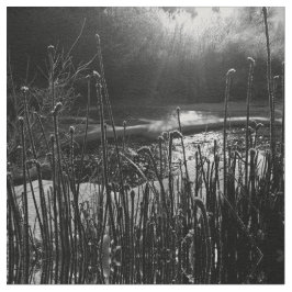 Natures Sunrise Tecido