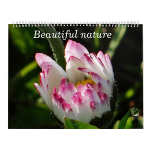 Natureza Bonita do Calendário