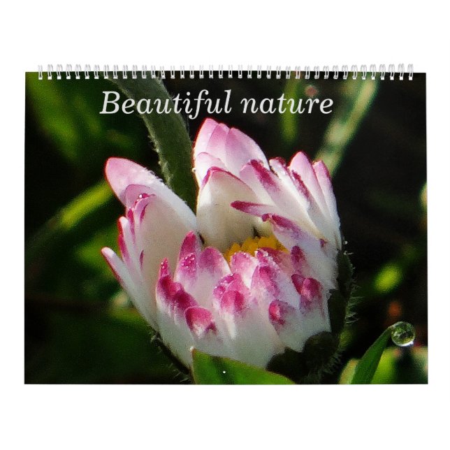 Natureza Bonita do Calendário (Capa)