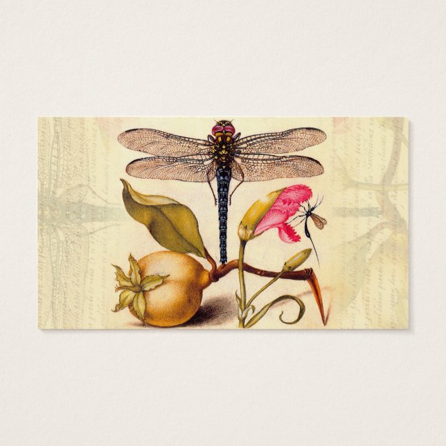 Natureza Botânica Dragonfly (Verso)