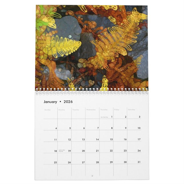 Natureza - calendário do estilo de Paintography (Jan 2026)