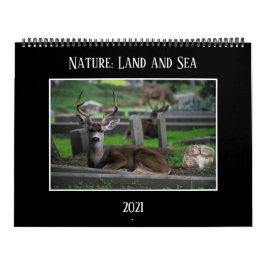 Natureza: Calendário do Land e do Mar de 2021