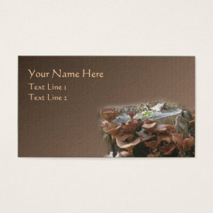 Natureza da aldeia de mushroom castanho selvagem