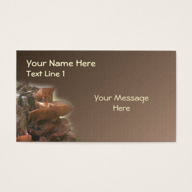 Natureza da pilha de cogumelos castanhos selvagens (Frente)