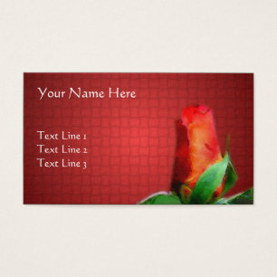 Natureza da rosa vermelha Flor