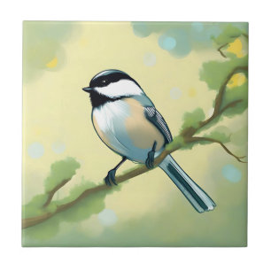 Natureza do Pássaro Chickadee