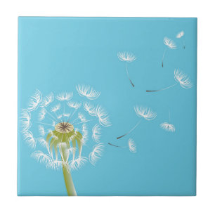 Natureza floral do dandelion azul