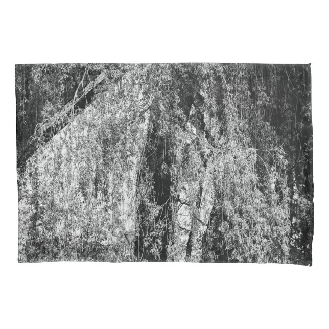 natureza-morta em casa (Frente)