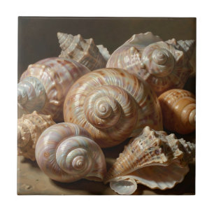 Natureza-Morta Iridescente de Conchas Marinhas