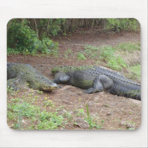 NATUREZA MOUSEPAD