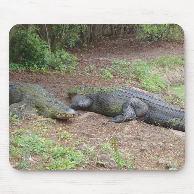 NATUREZA MOUSEPAD (Frente)