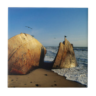 Naufrágio Em Praia, Costa De Esqueleto, Namíbia