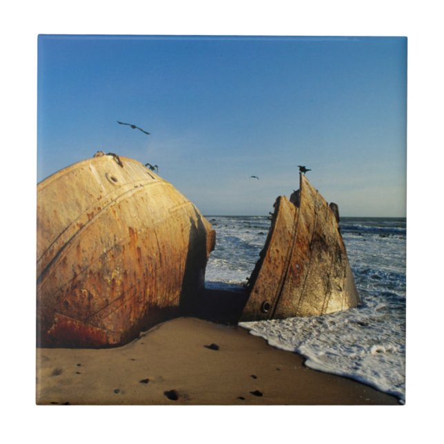 Naufrágio Em Praia, Costa De Esqueleto, Namíbia (Frente)