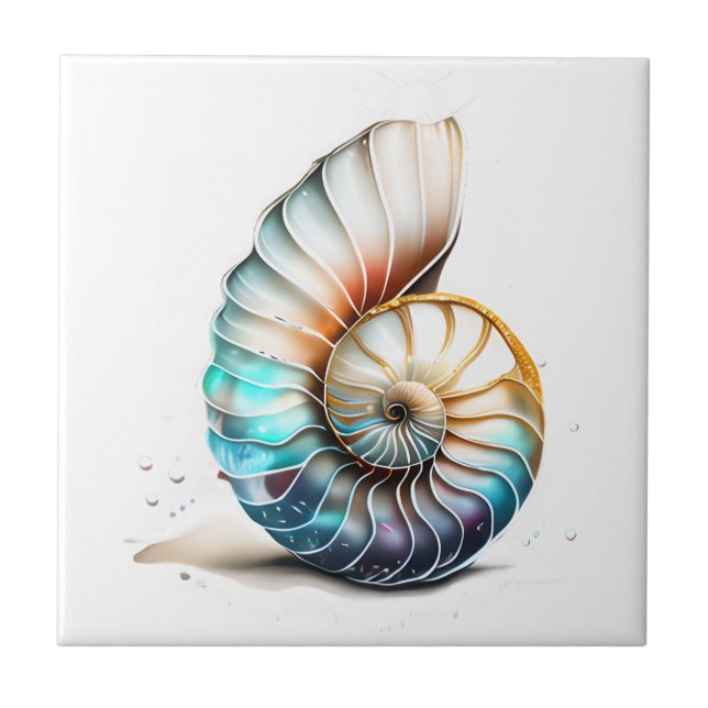 Nautilus 3D - casca iridescente de pérolas-mãe (Frente)