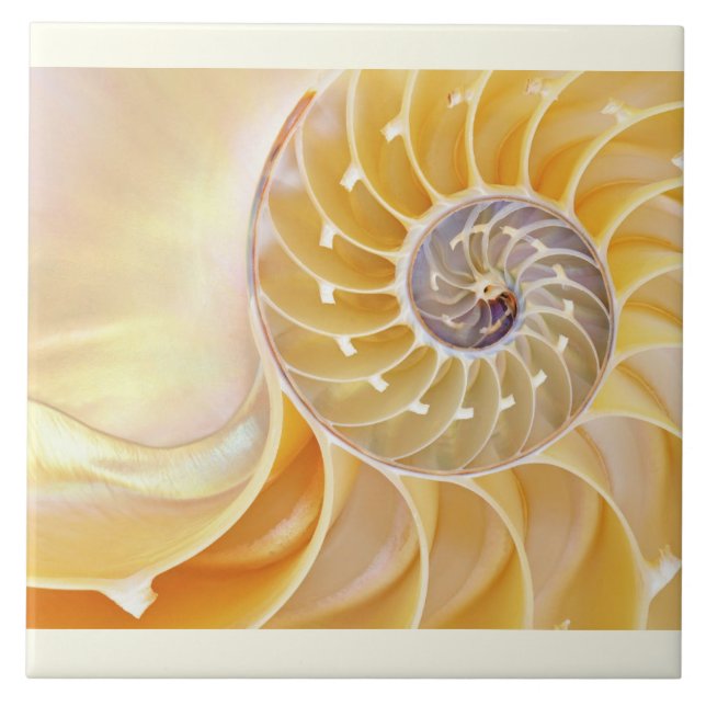 Nautilus Azulejo cerâmico (Frente)