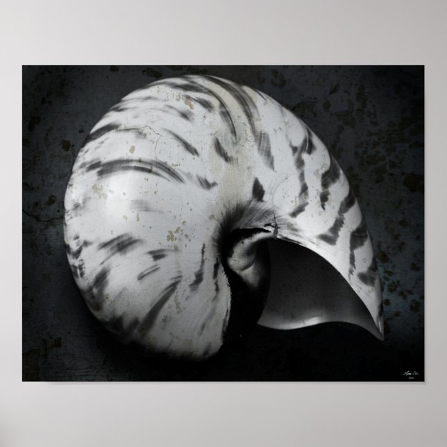 Nautilus BW Poster (Frente)