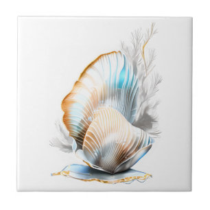 Nautilus clam seashell iridescente praia 3D