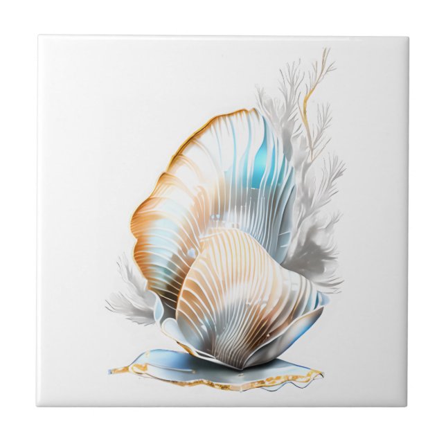 Nautilus clam seashell iridescente praia 3D (Frente)