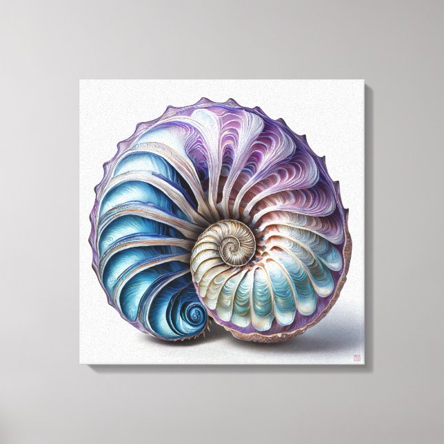 Nautilus - Impressão de Arte Canvas (Frente)