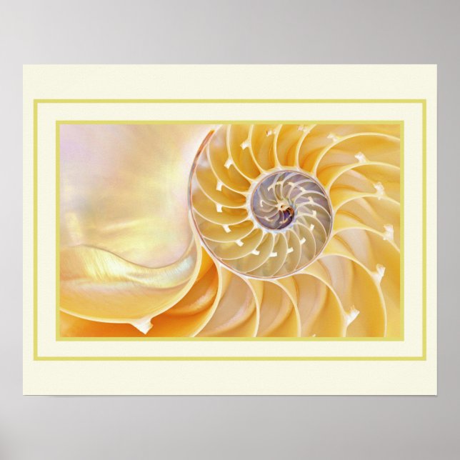 Nautilus Poster (Frente)