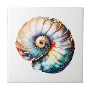 Nautilus seashell iridescente 3D praia mar náutico