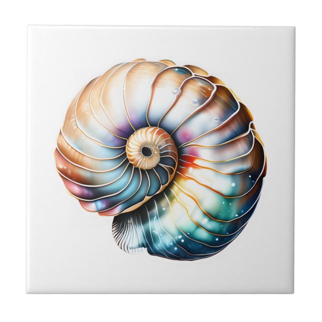 Nautilus seashell iridescente 3D praia mar náutico (Frente)