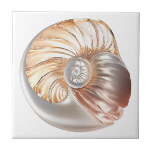 Nautilus seashell laranja pérola 3D praia sea