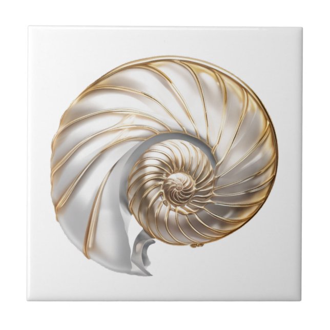 Nautilus seashell luster 3D praia sea (Frente)