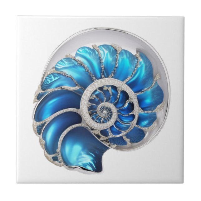 Nautilus seashell ocean azul 3D praia náutica (Frente)
