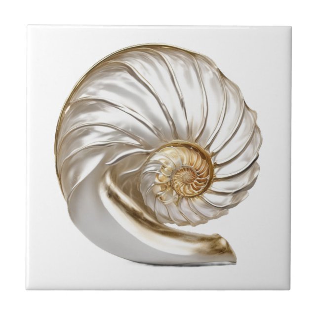 Nautilus seashell pérola 3D praia mar náutico (Frente)