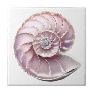 Nautilus seashell rosa 3D praia mar náutico