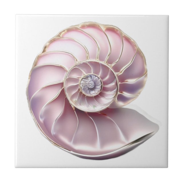 Nautilus seashell rosa 3D praia mar náutico (Frente)