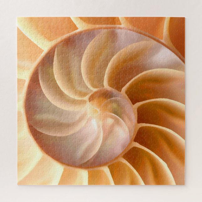 Nautilus Seashell - Tema Quebra-cabeça Para Adulto (Vertical)