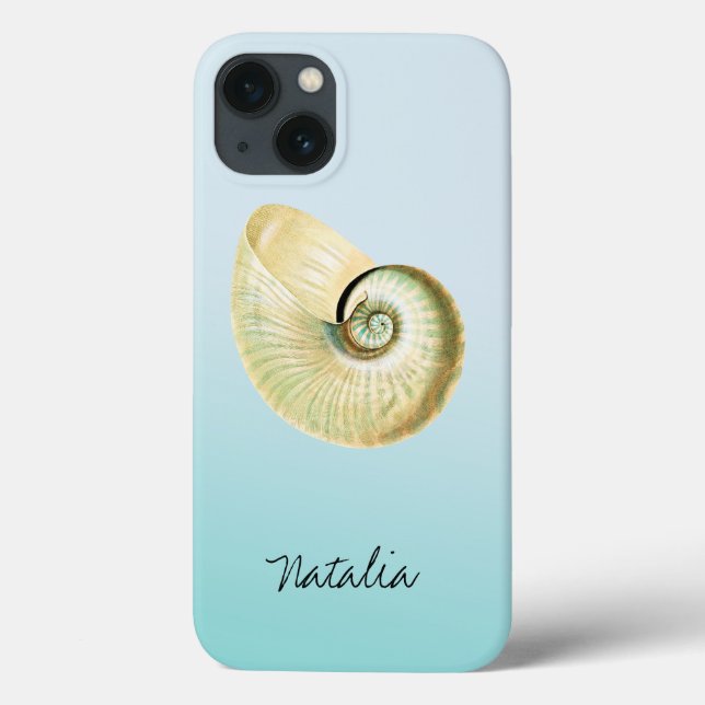 Nautilus shell (Verso)