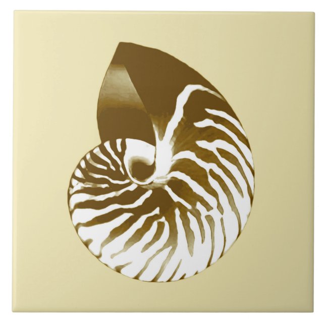 Nautilus shell - castanho, branco e bege (Frente)