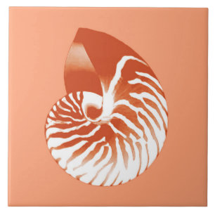 Nautilus shell - terracotta e branco