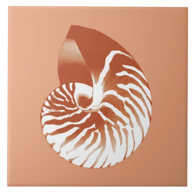 Nautilus shell - terracotta e branco (Frente)