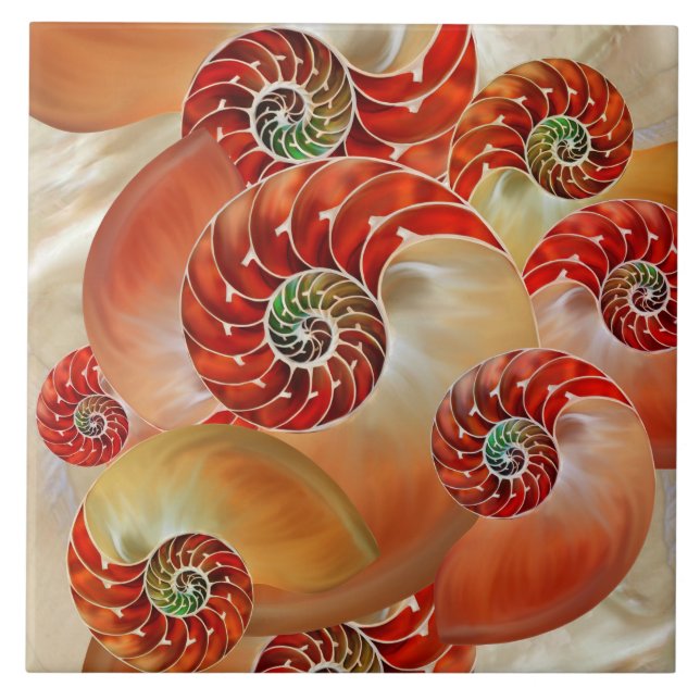 Nautilus Shells (Frente)