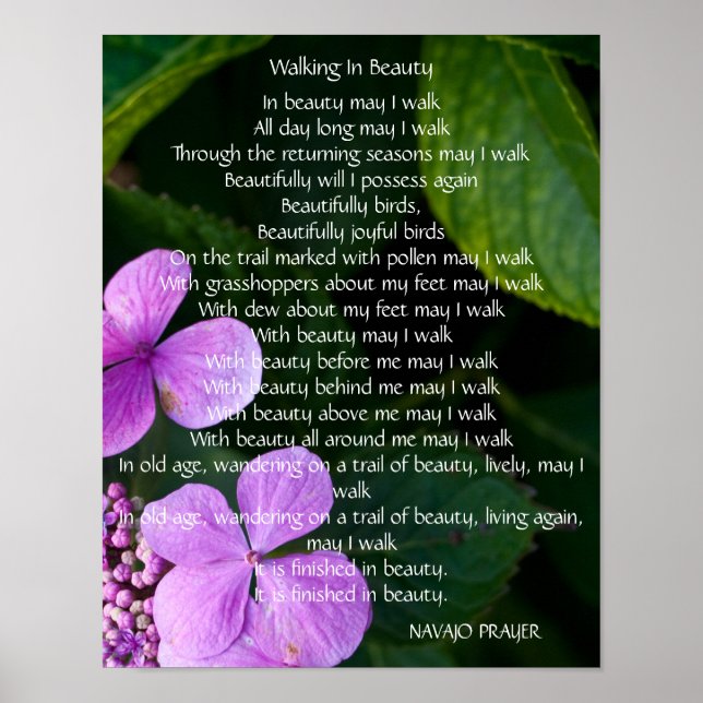 Navajo Prayer Walk in Beauty Poster (Frente)
