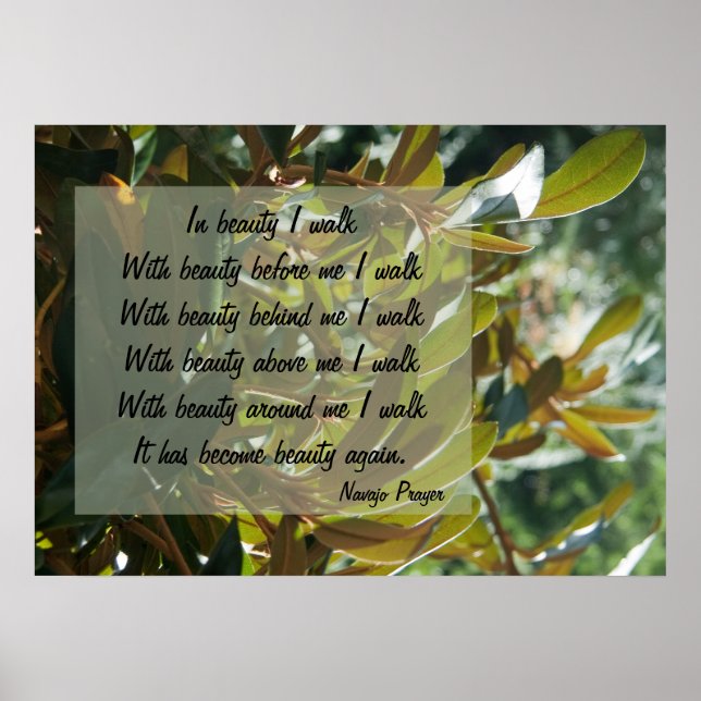 Navajo Prayer Walk in Beauty Poster (Frente)