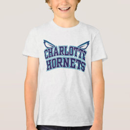 NBA Charlotte Hornets de Basquete