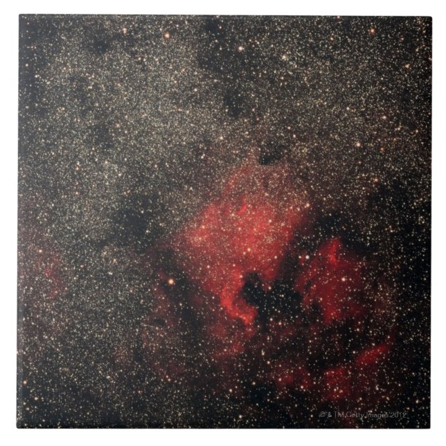 Nebulosa de America do Norte e nebulosa do (Frente)
