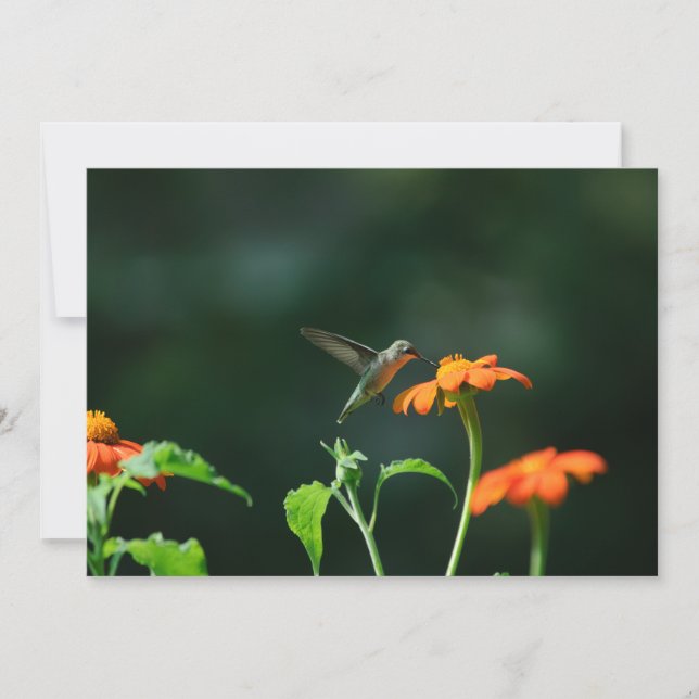 Néctar de perfuração - Cartão de saudação plana (Frente)