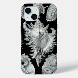 Negativo Haeckel