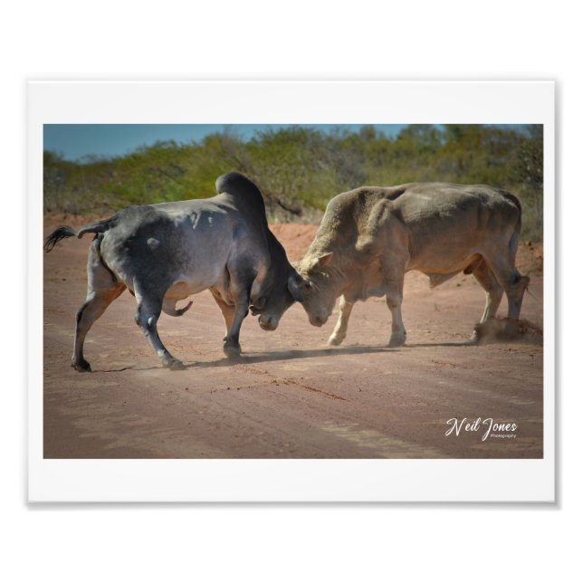 Neil Jones Fotografia - Rei da Estrada. (Frente)