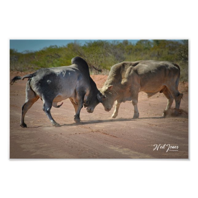 Neil Jones Fotografia - Rei da Estrada (Frente)