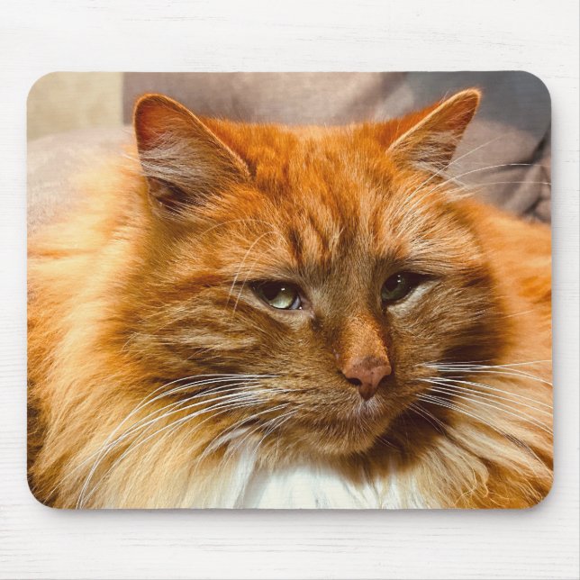 Nemo Mousepad de Gatinho Especial (Frente)