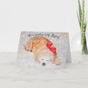 Nenhuma criatura estava tirando o cartão de feriad