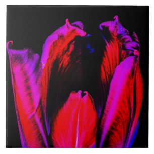 Neon Glow Tulip