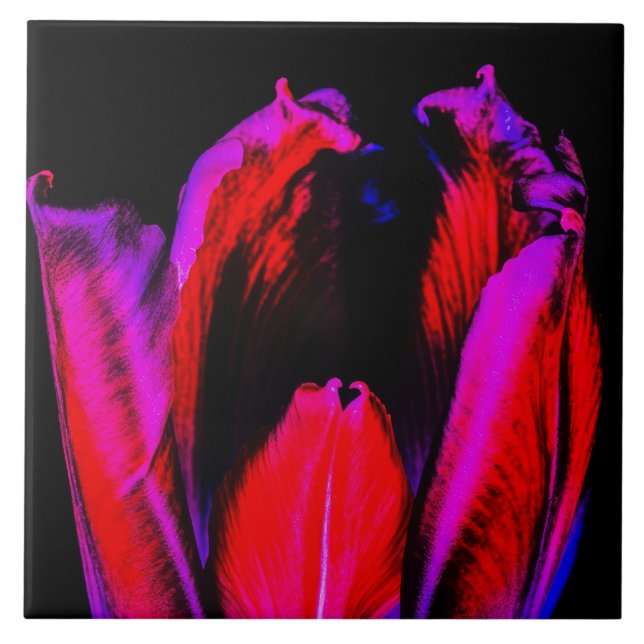 Neon Glow Tulip (Frente)